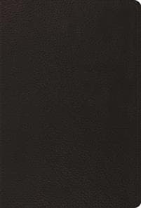The Psalms, ESV (Top Grain Leather, Black)