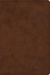 ESV Study Bible, Personal Size