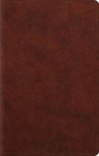 ESV Large Print Personal Size Bible, Red Letter