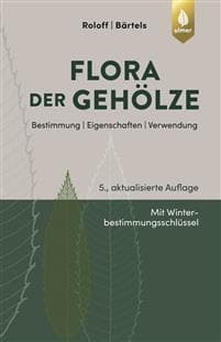 Flora der Gehölze