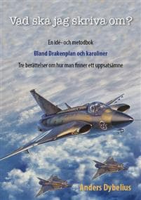 Vad ska jag skriva om? : en idé- och metodbok - bland Drakenplan och karoliner