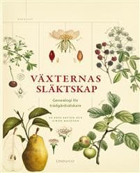 Växternas släktskap : genealogi för trädgårdsälskare