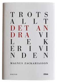 Trots allt det andra vi leker i vinden