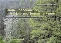 Bäume und Sträucher in Frühjahr und Sommer erkennen