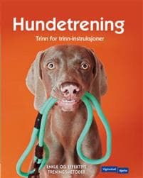Hundetrening; trinn for trinn-instruksjoner