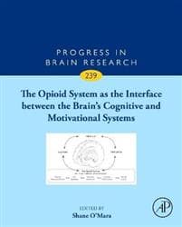 The Opioid System as the Interface between the Brain’s Cognitive and Motivational Systems