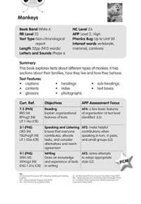 BC NF White A/2A Monkeys Guided Reading Card