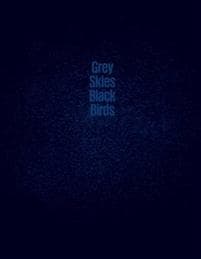 Grey Skies Black Birds