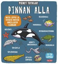 Pinnan alla