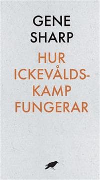 Hur ickevåldskamp fungerar