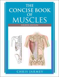 Concise  Book of Muscles  Fourth Edition