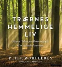 Trærnes hemmelige liv; skogen i bilder