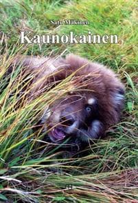 Kaunokainen