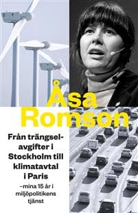 Från trängselavgifter i Stockholm till klimatavtal i Paris : mina 15 år i miljöpolitikens tjänst