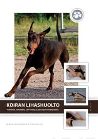 Koiran lihashuolto