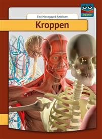 Kroppen