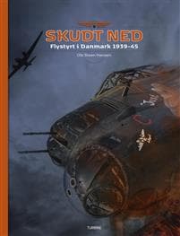Skudt ned