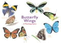 Miniatyrbilde 1 av 2: Butterfly Wings