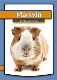 Marsvin
