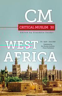 Critical Muslim 30