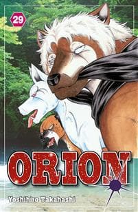 Orion 29