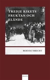 Tredje rikets fruktan och elände