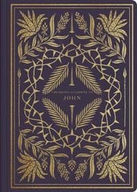ESV Illuminated Scripture Journal