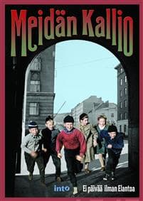 Meidän Kallio