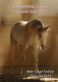Arabhingstar genom tiderna