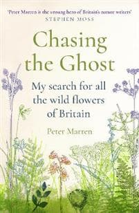 Chasing the Ghost