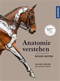 Anatomie verstehen - besser reiten