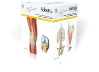 Sobotta Lernkarten für Physiotherapeuten