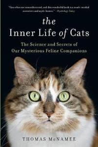 The Inner Life of Cats