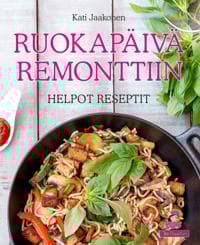 Ruokapäivä remonttiin