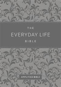 Everyday Life Bible (Fashion Edition: Gray Imitation Leather)