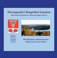 Företagandet i Bengtsfors kommun : från tiden med järnbruk, massa och papper fram tills nu