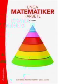Unga matematiker i arbete - Algebra