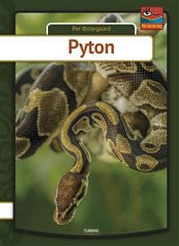 Pyton