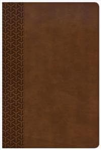 KJV Everyday Study Bible, British Tan LeatherTouch