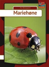 Mariehøne