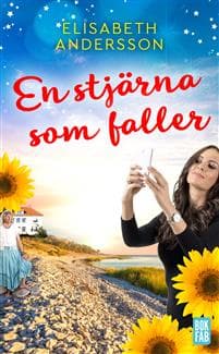 En stjärna som faller
