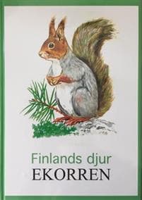 Ekorren Finlands djur