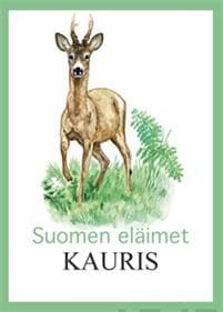Kauris