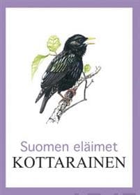 Kottarainen