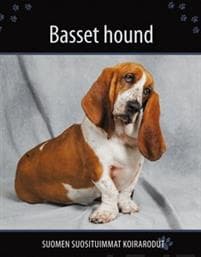 Basset hound