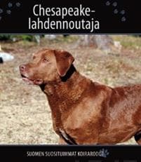 Chesapeakelahdennoutaja