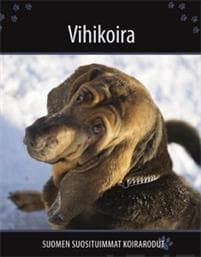 Vihikoira