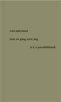 Som en gång varit äng