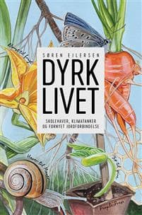 DYRK LIVET