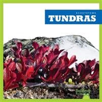 Tundras